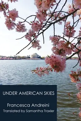 Sub cerul american - Under American Skies