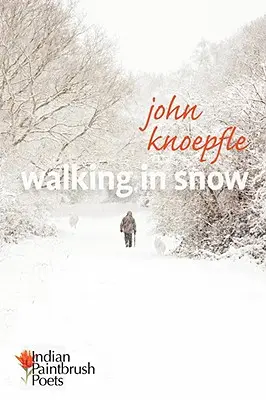 Plimbare în zăpadă - Walking in Snow