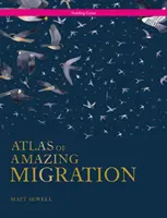 Atlasul migrației uimitoare - Atlas of Amazing Migration