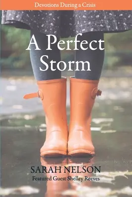 O furtună perfectă: Devoțiuni în timpul unei crize - A Perfect Storm: Devotions During a Crisis