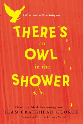 Există o bufniță în duș - There's an Owl in the Shower