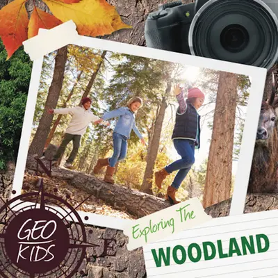 Explorarea pădurii - Exploring the Woodland