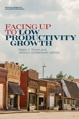 Confruntarea cu creșterea scăzută a productivității - Facing Up to Low Productivity Growth