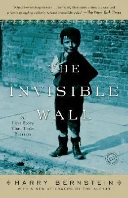 Zidul invizibil: O poveste de dragoste care a rupt barierele - The Invisible Wall: A Love Story That Broke Barriers