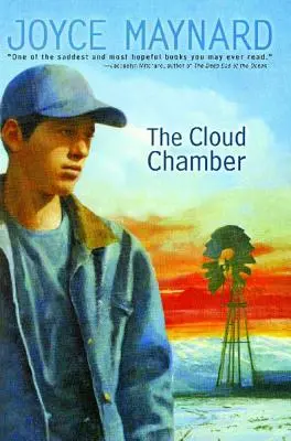 Camera norilor - The Cloud Chamber