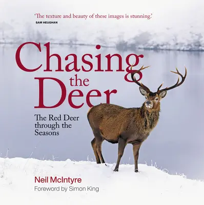 Chasing the Deer: Cerbul roșu de-a lungul anotimpurilor - Chasing the Deer: The Red Deer Through the Seasons
