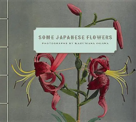 Câteva flori japoneze - Some Japanese Flowers