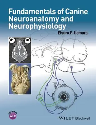 Fundamente de neuroanatomie și neurofiziologie canină - Fundamentals of Canine Neuroanatomy and Neurophysiology
