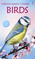 Păsări - Birds