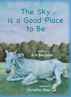 Cerul este un loc bun pentru a fi - The Sky is a Good Place to Be