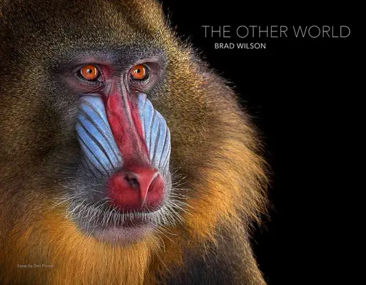 Brad Wilson: Cealaltă lume: Portrete de animale - Brad Wilson: The Other World: Animal Portraits