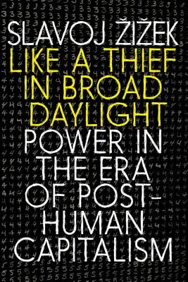 Ca un hoț în plină zi: Puterea în era capitalismului post-uman - Like a Thief in Broad Daylight: Power in the Era of Post-Human Capitalism