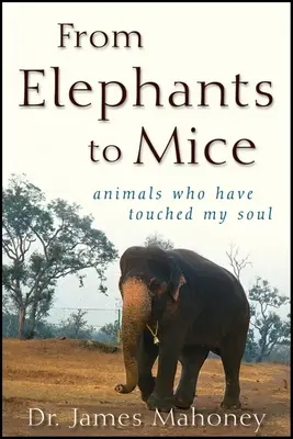 De la elefanți la șoareci: animale care mi-au atins sufletul - From Elephants to Mice: Animals Who Have Touched My Soul