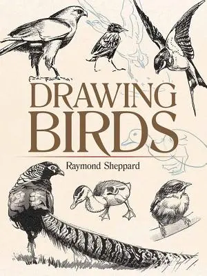 Desenul păsărilor - Drawing Birds