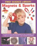 Magneți și scântei: 16 experimente ușor de urmat pentru o învățare distractivă: Află cum funcționează electricitatea și magnetismul! - Magnets & Sparks: 16 Easy-To Follow Experiments for Learning Fun: Find Out How Electricity and Magnetism Work!