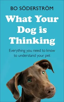 What Your Dog Is Thinking: Tot ce trebuie să știți pentru a vă înțelege animalul de companie - What Your Dog Is Thinking: Everything You Need to Know to Understand Your Pet