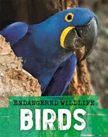 Animale sălbatice pe cale de dispariție: Salvarea păsărilor - Endangered Wildlife: Rescuing Birds