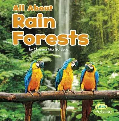 Totul despre pădurile tropicale - All about Rain Forests