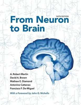 De la neuron la creier - From Neuron to Brain