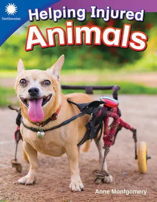 Ajutarea animalelor rănite - Helping Injured Animals