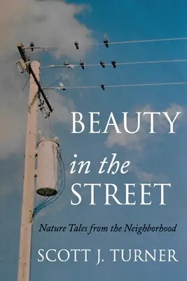 Frumusețe pe stradă: Povești despre natură din cartier (Nature Tales from the Neighborhood) - Beauty in the Street: Nature Tales from the Neighborhood
