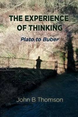 The Experience of Thinking (Experiența gândirii) - The Experience of Thinking