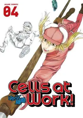 Celule la lucru! 4 - Cells at Work! 4