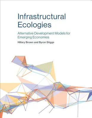 Infrastructural Ecologies: Modele alternative de dezvoltare pentru economiile emergente - Infrastructural Ecologies: Alternative Development Models for Emerging Economies