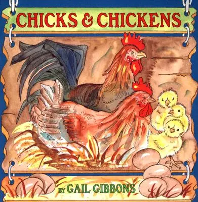 Pui și găini - Chicks & Chickens