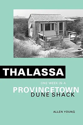 Thalassa: O săptămână într-o cabană pe dune din Provincetown - Thalassa: One Week in a Provincetown Dune Shack