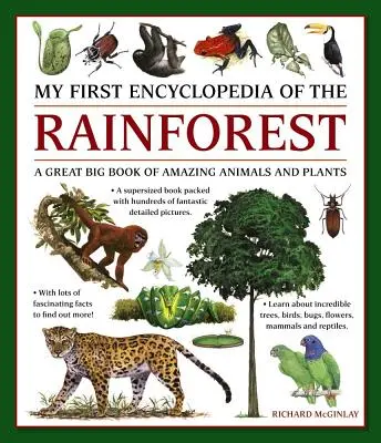 Prima mea enciclopedie a pădurii tropicale: O carte mare de animale și plante uimitoare - My First Encylopedia of the Rainforest: A Great Big Book of Amazing Animals and Plants