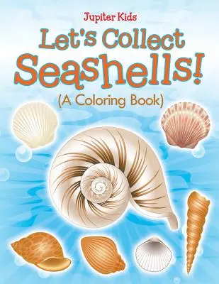 Let's Collect Seashells! (O carte de colorat) - Let's Collect Seashells! (A Coloring Book)