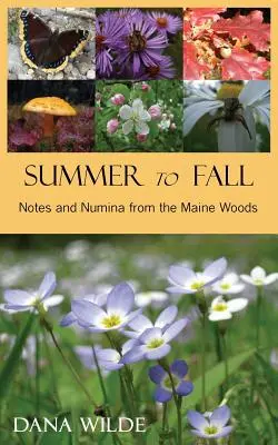 De la vară la toamnă - Summer to Fall