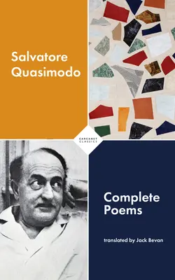 Poezii complete - Complete Poems