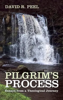 Procesul Pilgrim - Pilgrim's Process