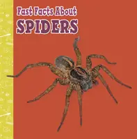 Fapte rapide despre păianjeni - Fast Facts About Spiders