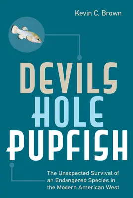 Devils Hole Pupfish: Supraviețuirea neașteptată a unei specii pe cale de dispariție în vestul american modern - Devils Hole Pupfish: The Unexpected Survival of an Endangered Species in the Modern American West