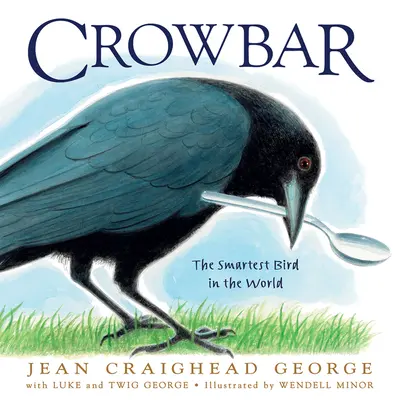 Crowbar: Cea mai inteligentă pasăre din lume - Crowbar: The Smartest Bird in the World