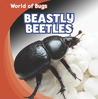 Beetle bestiale - Beastly Beetles