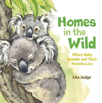Case în sălbăticie: Unde trăiesc puii de animale și părinții lor - Homes in the Wild: Where Baby Animals and Their Parents Live