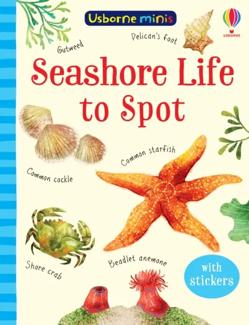 Viața de pe malul mării la fața locului - Seashore Life to Spot