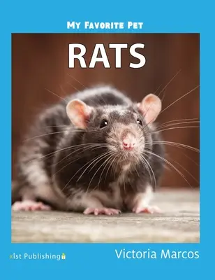 Animalul meu preferat: Șobolani - My Favorite Pet: Rats