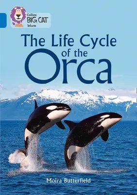 Collins Big Cat - Ciclul de viață al orcilor: Band 16/Sapphire - Collins Big Cat - The Life Cycle of the Orca: Band 16/Sapphire