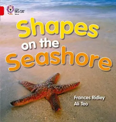 Forme pe malul mării - Shapes on the Seashore