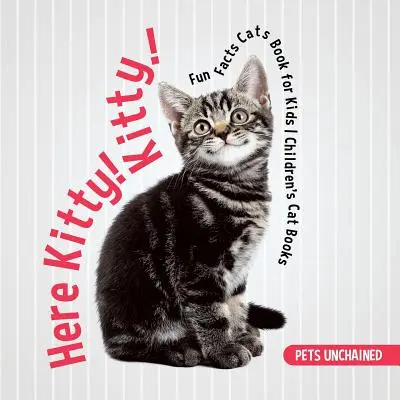 Aici Kitty! Kitty! Fun Facts Cats Carte pentru copii - Cărți pentru copii cu pisici - Here Kitty! Kitty! Fun Facts Cats Book for Kids Children's Cat Books