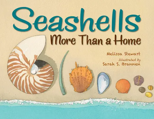 Scoici de mare: Mai mult decât o casă - Seashells: More Than a Home