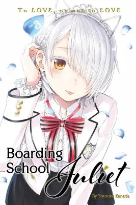 Internat Școala Juliet 3 - Boarding School Juliet 3