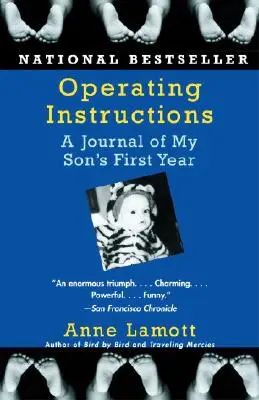 Instrucțiuni de operare: Un jurnal al primului an al fiului meu - Operating Instructions: A Journal of My Son's First Year