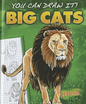 Pisici mari - Big Cats