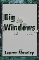 Ferestre mari - Big Windows